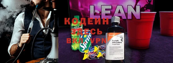 соль ск Верхний Тагил