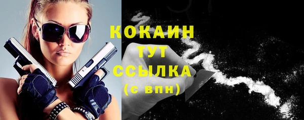 соль ск Верхний Тагил