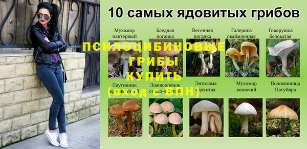 амф Верхнеуральск