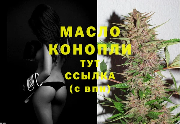 соль ск Верхний Тагил