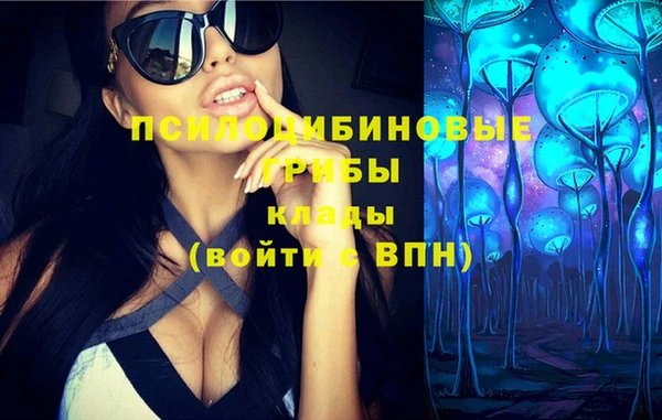 соль ск Верхний Тагил