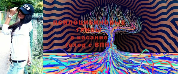 соль ск Верхний Тагил